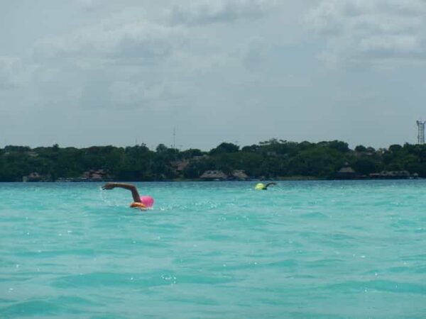 Bacalar Lagoon Open Water Swimming Experiences - Available Tour Packages