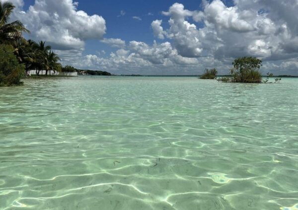 Bacalar Lagoon: Pontoon Adventure, Cenote Swim and Lunch - Frequently Asked Questions