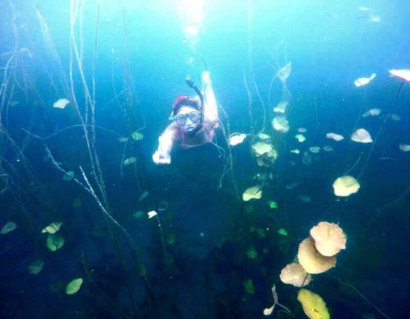 Bacalar: Magnificent Bacalar Lagoon Exclusive Boat Tour - Good To Know