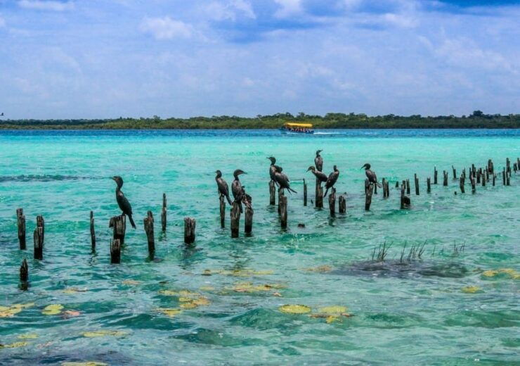 Bacalar: Pontoon Ride, Cenote Azul, Lunch and Transportation - Pricing Details