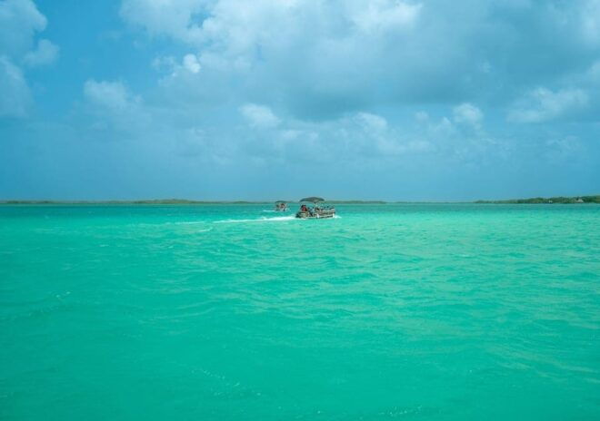 Bacalar: Pontoon Ride, Cenote Azul, Lunch and Transportation - Included Services
