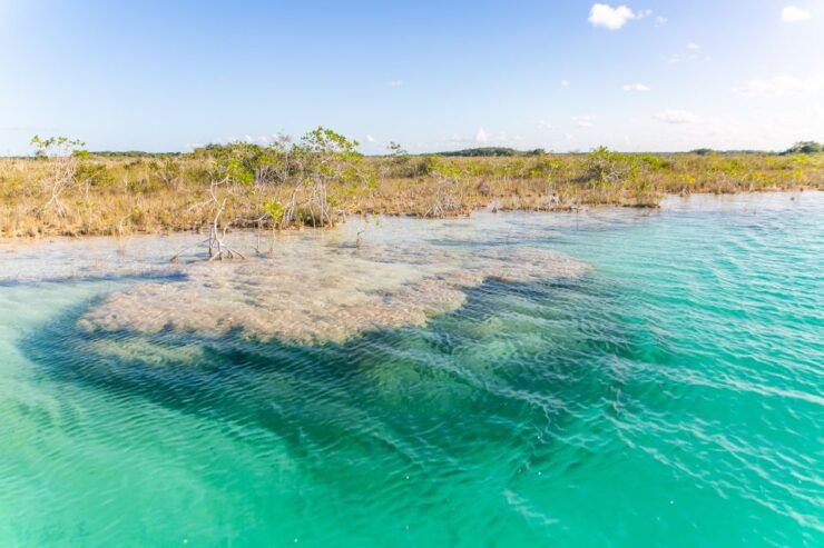 Bacalar: Private Boat Tour With Drinks and Snacks - Tour Highlights