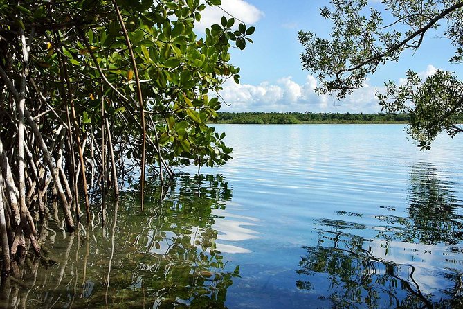Bacalar Seven Color Lagoon and Kayak Adventure From Costa Maya - Small Group and Intimate Atmosphere