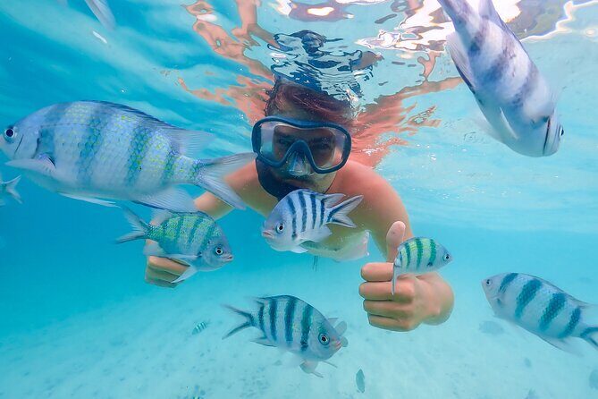 Bacardi Island Excursion with Catamaran, Beach and Lunch - An In-Depth Look at the Bacardi Island Excursion