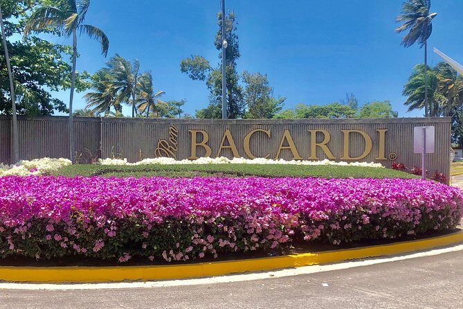 Bacardi Rum Distillery and Old San Juan Tour - Who Should Book This Tour?