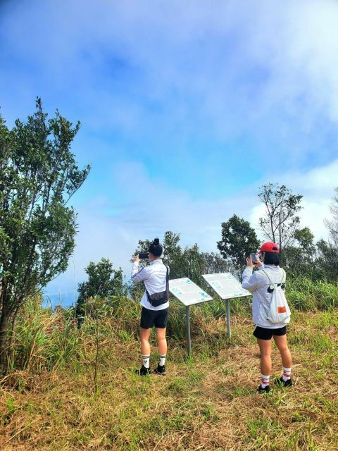Bach Ma Hue National Park: A Paradise for Nature Lovers - Afternoon Tour: Challenging Trails and Majestic Waterfall