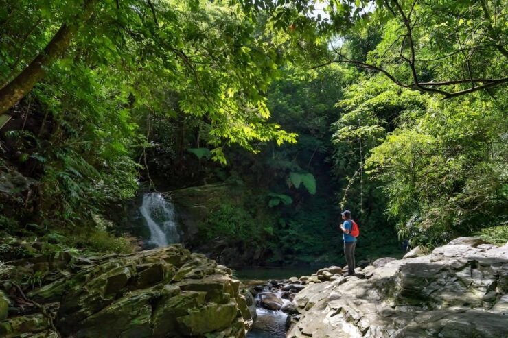 Bach Ma Mountain: Full Day Trekking From Hue (Group Tour) - Tour Itinerary