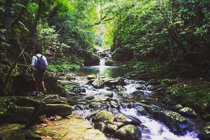 Bach Ma National Park 2-Day Trekking Private Tour - Private Guide and Safety Measures