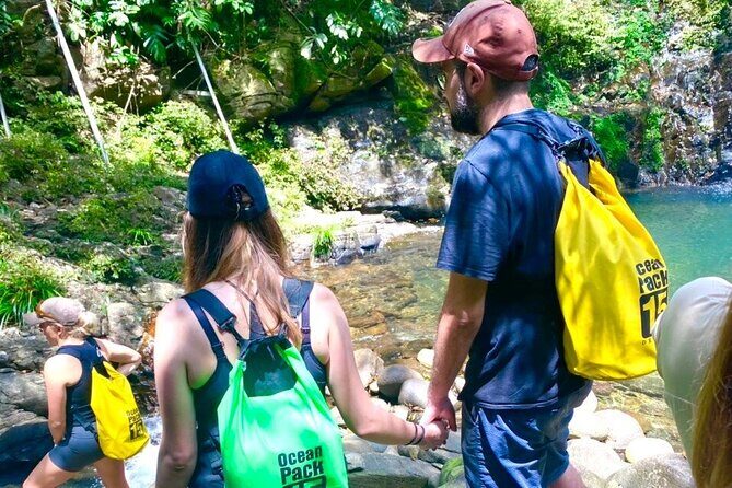 Bach Ma National Park: Daily Hue Treks via Hai Van Pass - What Makes This Tour Stand Out?  