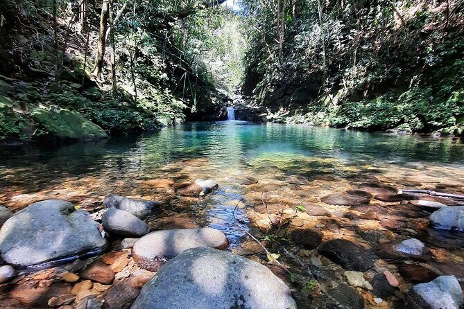 Bach Ma National Park: Daily Hue Treks via Hai Van Pass - FAQ