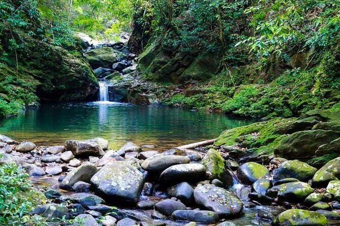 Bach Ma National Park Daily Trekking From Da Nang - Final Thoughts: Who Is This Tour Best For?