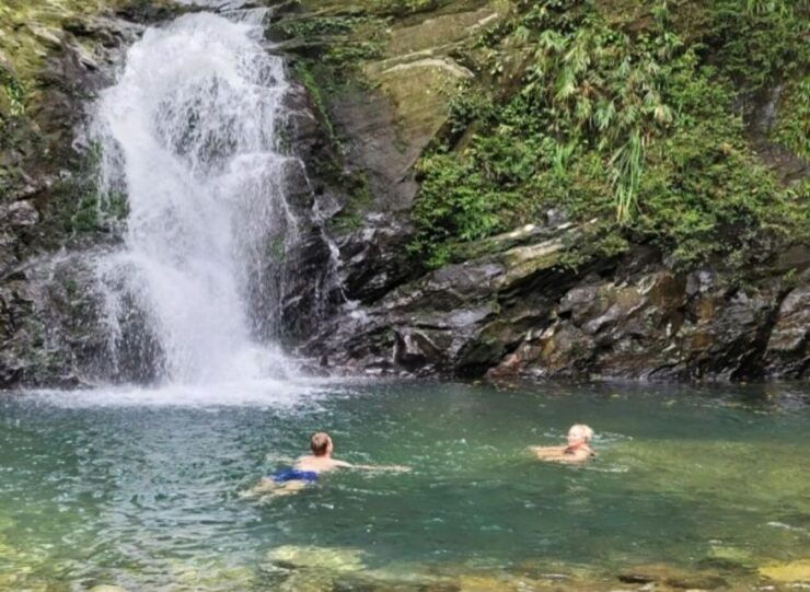 Bach Ma National Park: Day Trek Private Tour - Hoi An/DaNang - Tour Overview