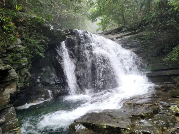 Bach Ma National Park: Day Trek Private Tour - Hoi An/DaNang - Cancellation Policy