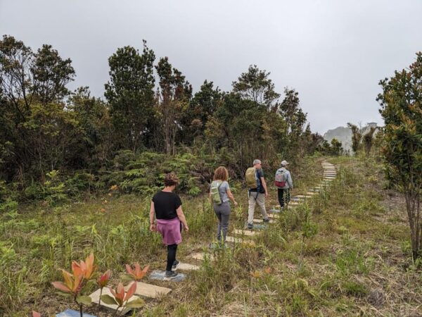 Bach Ma National Park Trekking Tour From Hue/Da Nang/Hoi An - Frequently Asked Questions