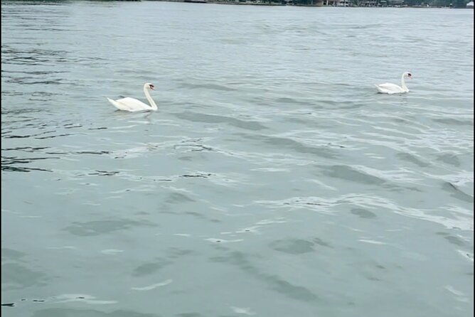 Bach Party Boat on Lake Austin 4 hours Up to 12 guests - Good To Know