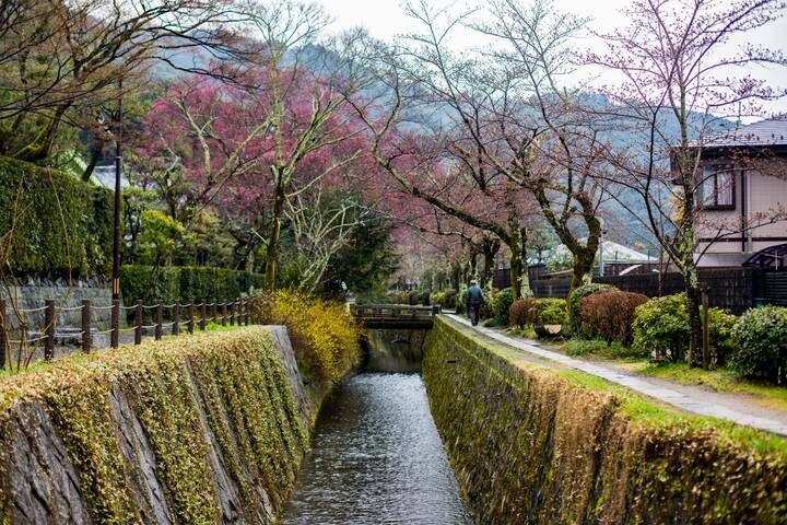 Back Roads of Japan 11-Day Tour by G Adventures - The practical details that shape the trip