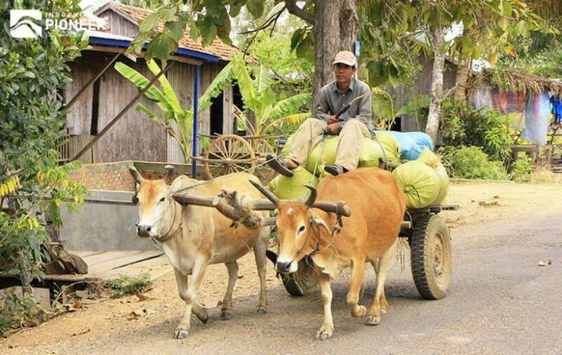 Back to Basics: Siem Reap Village Tour in Cambodia - The Sum Up