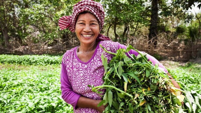 Back to Basics: Village Life Tour from Siem Reap - Good To Know