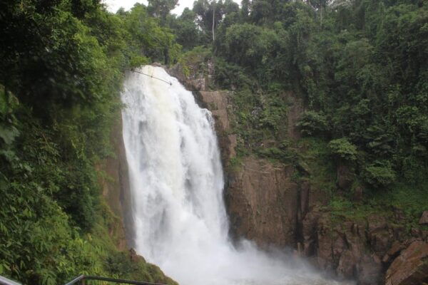Back to Nature Trekking and Hiking at Khao Yai National Park - Safety and Health Considerations