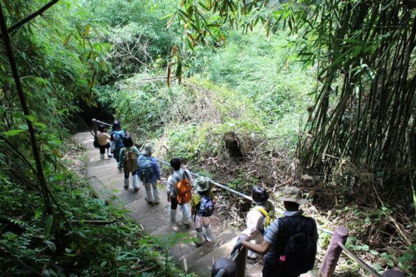Back to Nature Trekking and Hiking at Khao Yai National Park - Essential Packing List