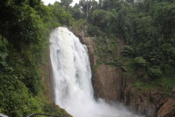 Back to Nature Trekking and Hiking at Khao Yai National Park - Transportation and Accessibility