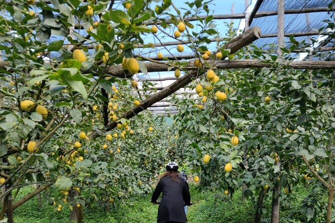 Backroads & Limoncello Experience: Sorrento E-Bike Tour - Tour Highlights