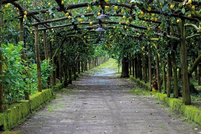 Backroads & Limoncello Experience: Sorrento E-Bike Tour - Common Questions