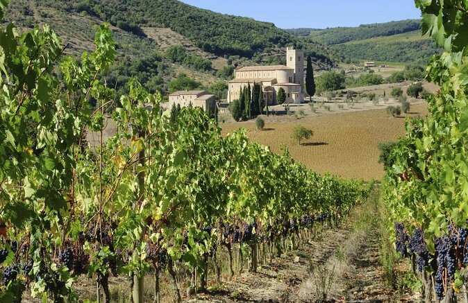 Backstage Brunello & Gourmet Wine-Food Tasting in Montalcino - Good To Know