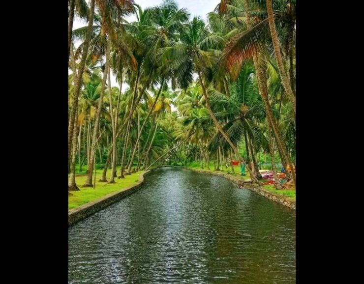 Backwater Cruise, Cloth Weaving, Coir Spinning, Kerala Lunch - Serene Gondola Boat Ride