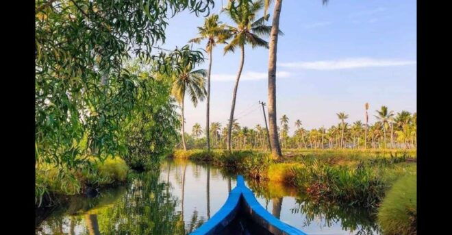 Backwater Cruise, Cloth Weaving, Coir Spinning, Kerala Lunch - Coconut Harvesting and Village Exploration