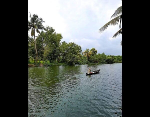 Backwater Cruise, Cloth Weaving, Coir Spinning, Kerala Lunch - Scenic Beauty of Lush Green River Banks