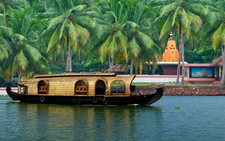 Backwater Houseboat and Fort Kochi Tour From Cochin Port - Activity Details