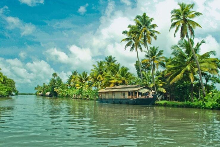 Backwater Houseboat and Fort Kochi Tour From Cochin Port - Experience Highlights