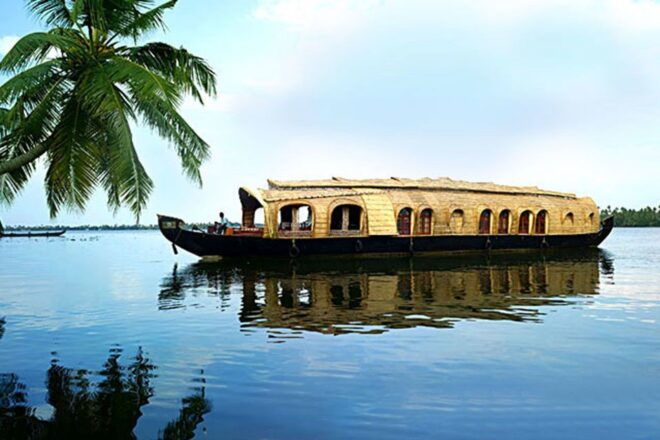 Backwater Houseboat and Fort Kochi Tour From Cochin Port - Reservation and Payment