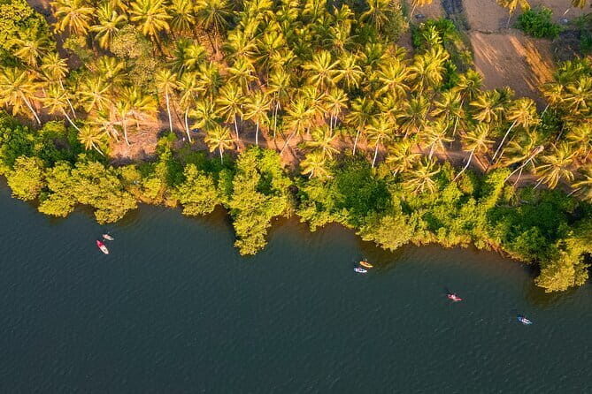 Backwater Kayaking Experience - Good To Know