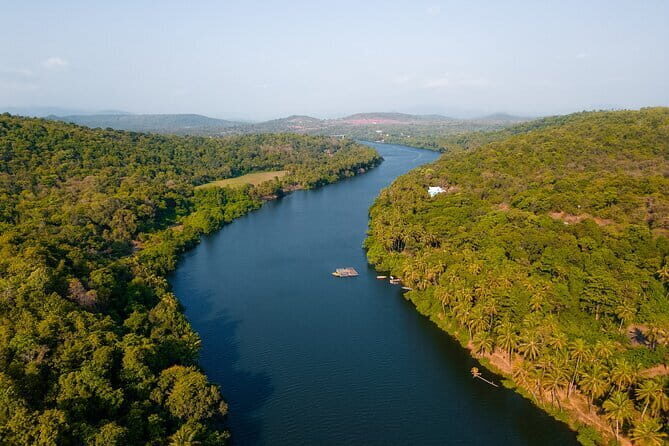Backwater Kayaking Experience - What to Expect During the Tour