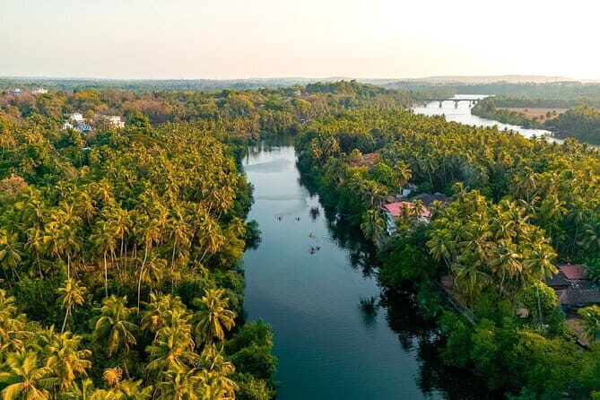 Backwater Kayaking Experience - Final Thoughts