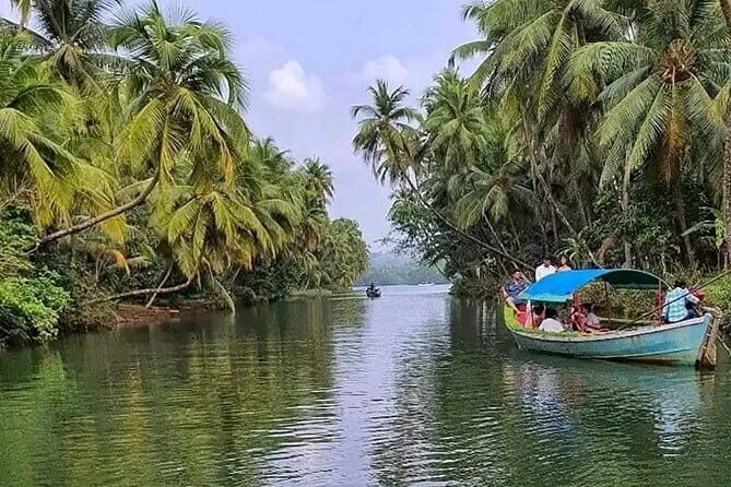 Backwaters Bliss: Cochin to Alleppey Escape - Final Thoughts: Who Will Love This Tour?