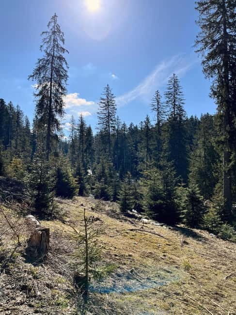 Bad Goisern: Caving & Scenic Hiking Adventure - The Sum Up