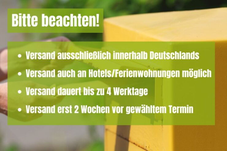 Bad Schandau: Scavenger Hunt Through Saxon Switzerland - Booking Information