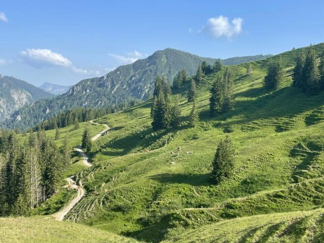 Bad Tölz: Private E-Mtb Tour River - Mountain - Lake - Highlights of the Tour