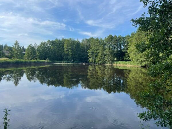 Bad Tölz: Private E-Mtb Tour River - Mountain - Lake - Participant Information and Tips