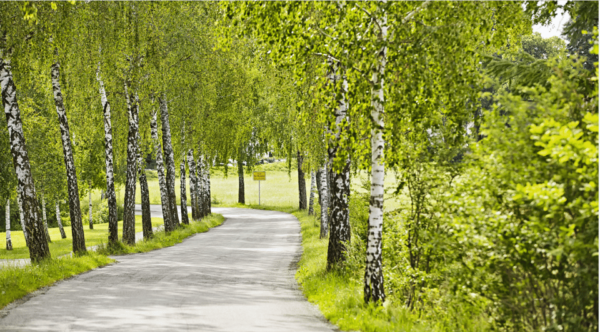 Bad Wörishofen: Fascia Walking - The Sum Up