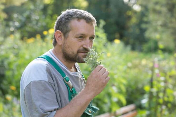 Bad Wörishofen: Herb Tour - Key Points