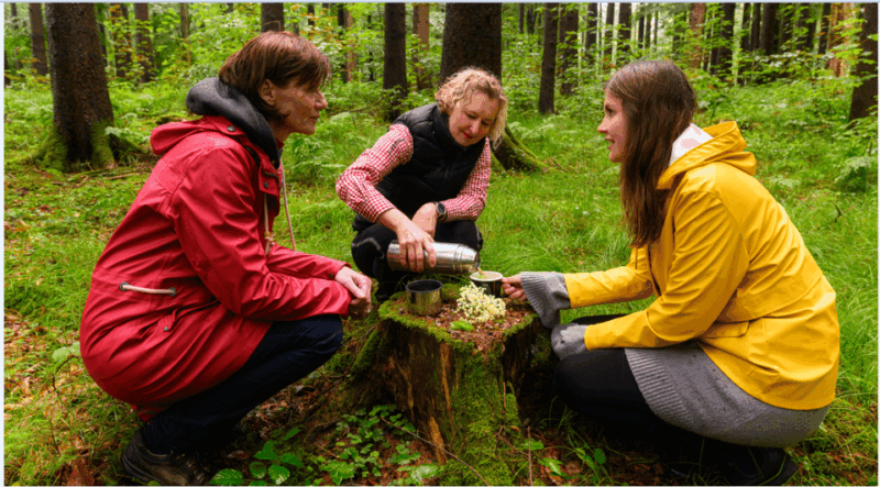 Bad Wörishofen: Shinrin-Yoku  Forest Bathing - Good To Know