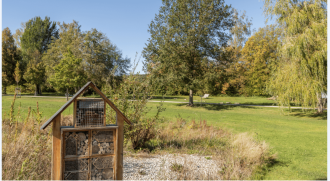 Bad Wörishofen: Tai Chi in the Spa Gardens - Experience Highlights