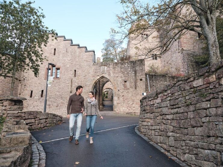 Baden-Baden: Hike With the Black Forest Guide - Activity Details