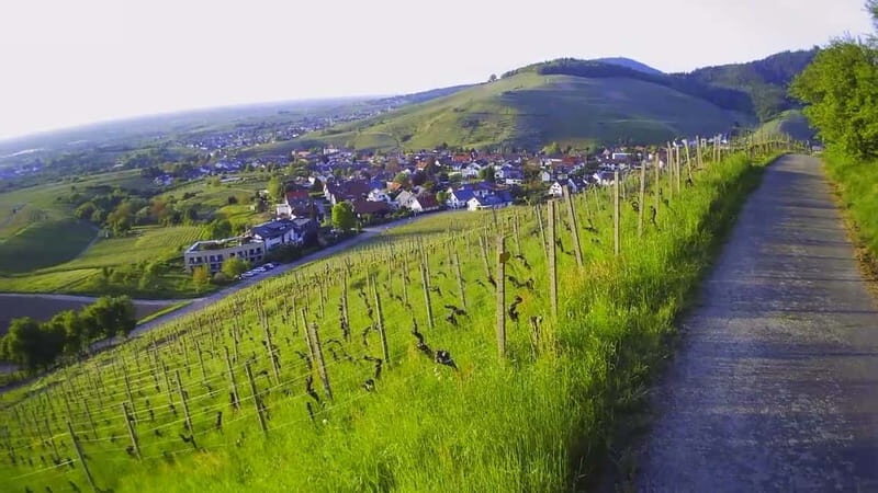 Baden-Baden: Private e-Mountainbike Tour with local Guide - Why You’ll Love the Baden-Baden E-Mountainbike Tour