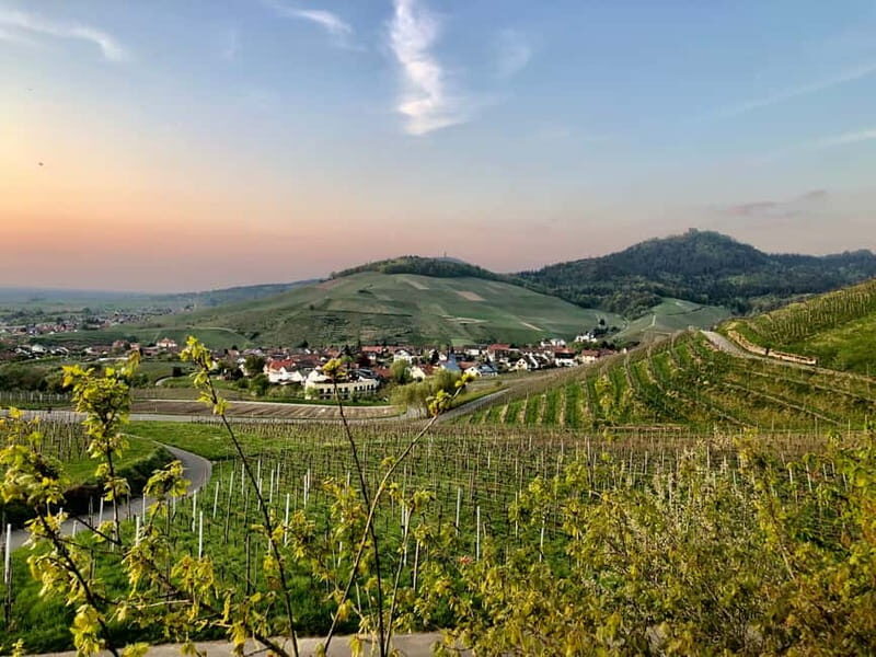 Baden-Baden: Private e-Mountainbike Tour with local Guide - What to Expect from the Experience