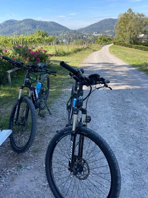 Baden-Baden: Private e-Mountainbike Tour with local Guide - Who Should Consider This Tour?